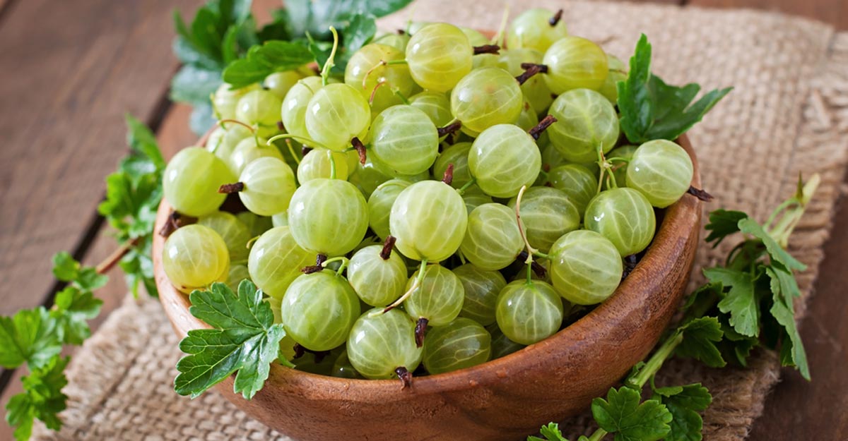 গরমে আমলকী খাওয়ার উপকারিতা জানুন