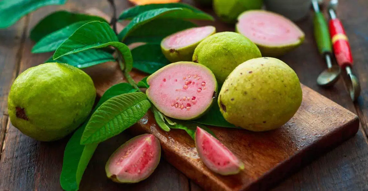 guava