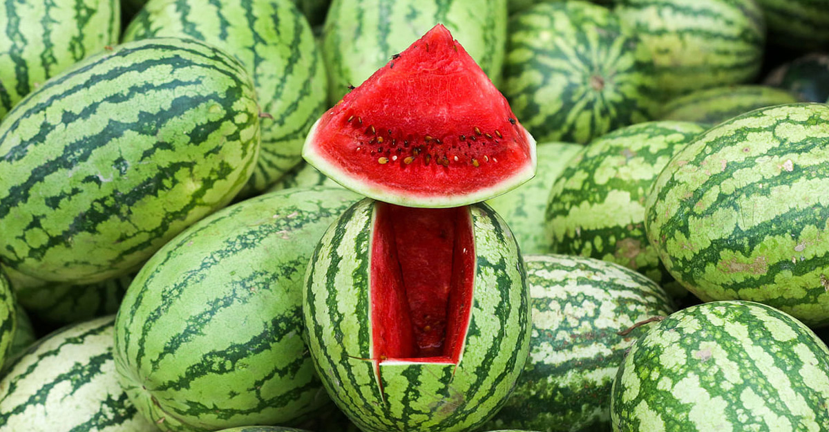রসালো ও মিষ্টি তরমুজ চেনার উপায়