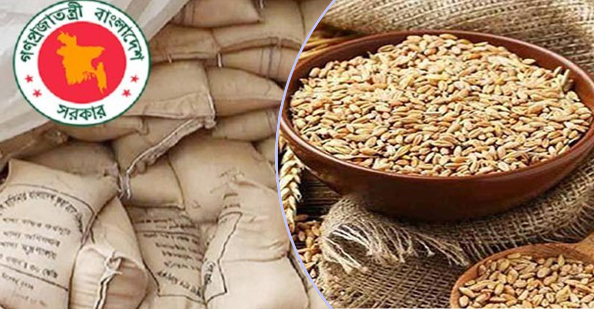 রাশিয়া থেকে ৫ লাখ টন গম আমদানি করবে সরকার