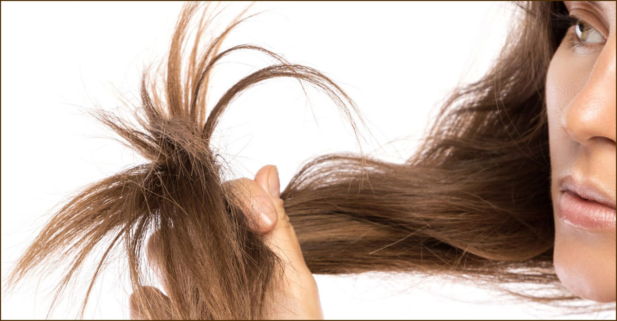 চুলের ডগা ফাটলে কী করবেন
