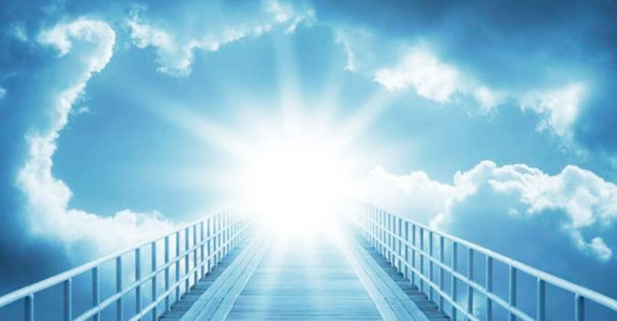 জান্নাতের প্রথম খাবার মাছের কলিজা, এরপর?