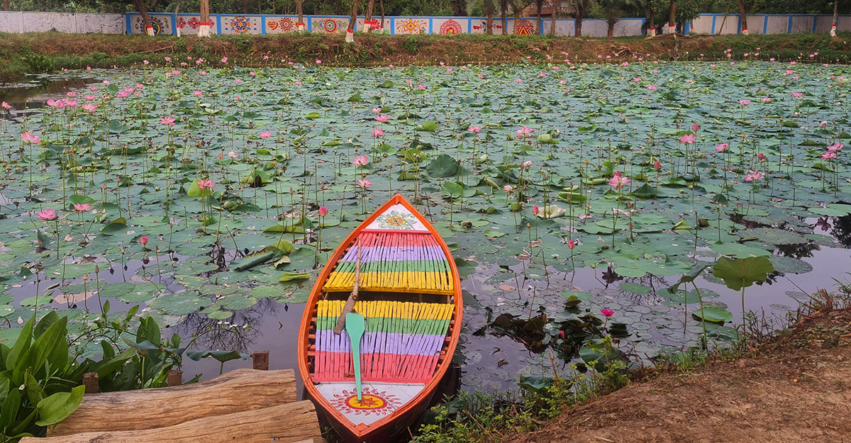 Lotus naogaon