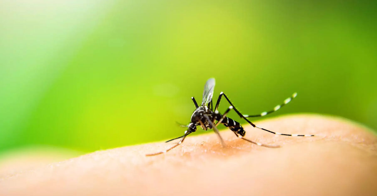 Brazzers eng yaxshi porno Qorachoy, dogiston va chechen ayollari bilan jinsiy aloqa