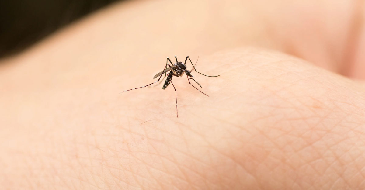 Hozir Krasnoarmeyskda jinsiy aloqa Www Berkova porno video