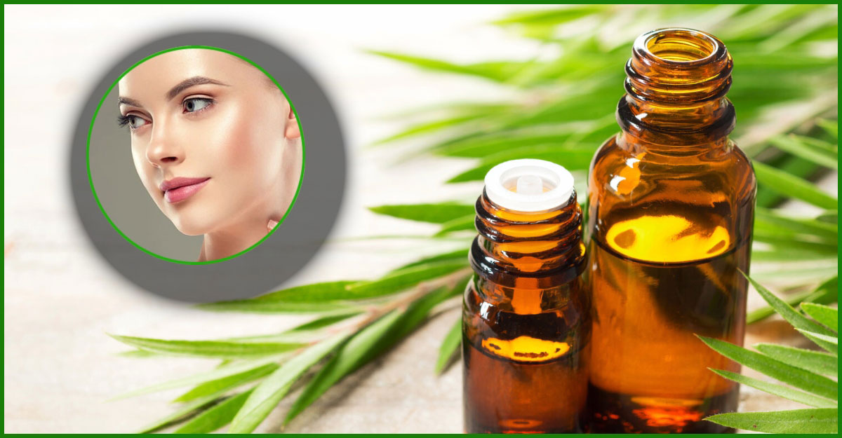 ত্বকের যত্নে টি ট্রি অয়েল