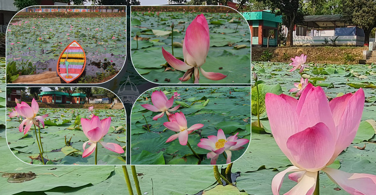 ভাগাড়ে পদ্ম ফুটিয়েছেন স্বাস্থ্য কর্মকর্তা, হাসপাতালে মনোরম পরিবেশ