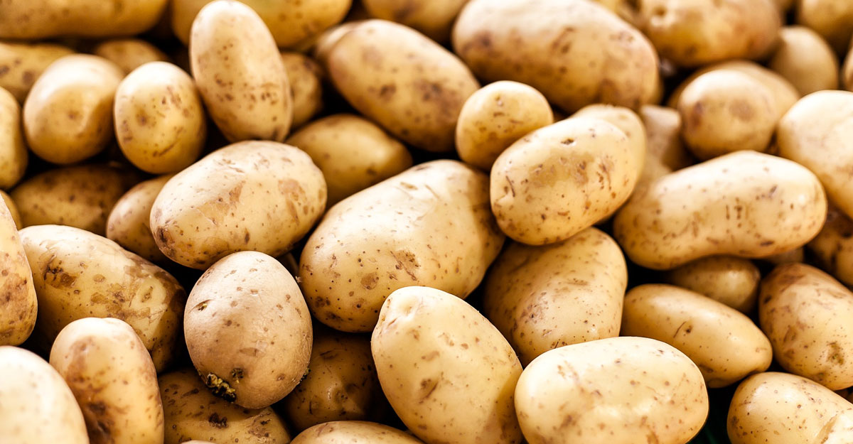 potato