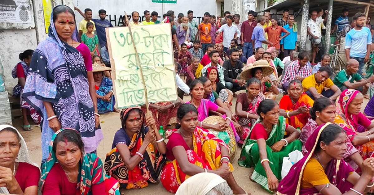 চা শ্রমিকদের ‘মানবিক মজুরি’ ঘোষণার দাবি বিশিষ্টজনদের