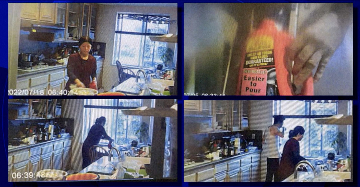 সিসি ক্যামেরায় স্ত্রীর কাজ দেখে তাজ্জব স্বামী