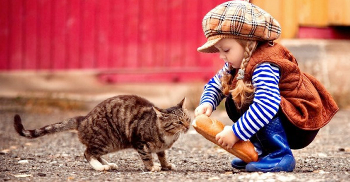 সৃষ্টিকুলের প্রতি দয়া করলে আল্লাহর অনুগ্রহ অনিবার্য