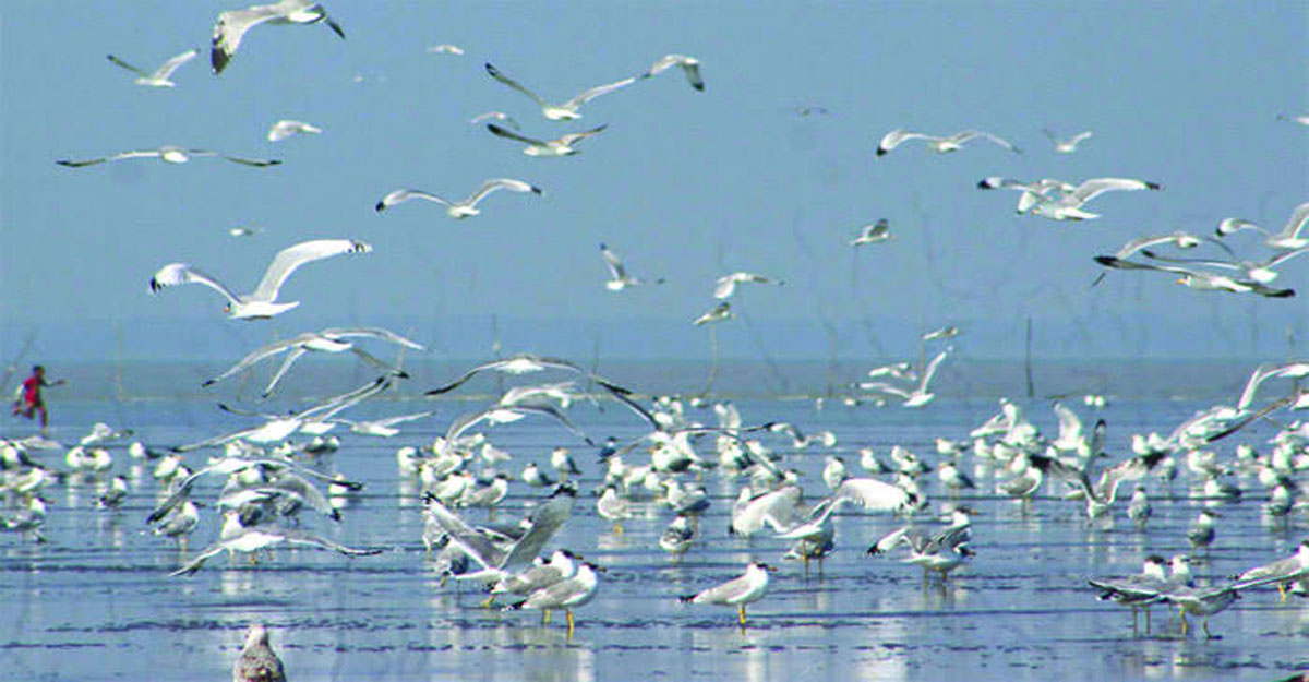 Semiz keksa ona va ogli jinsiy aloqa