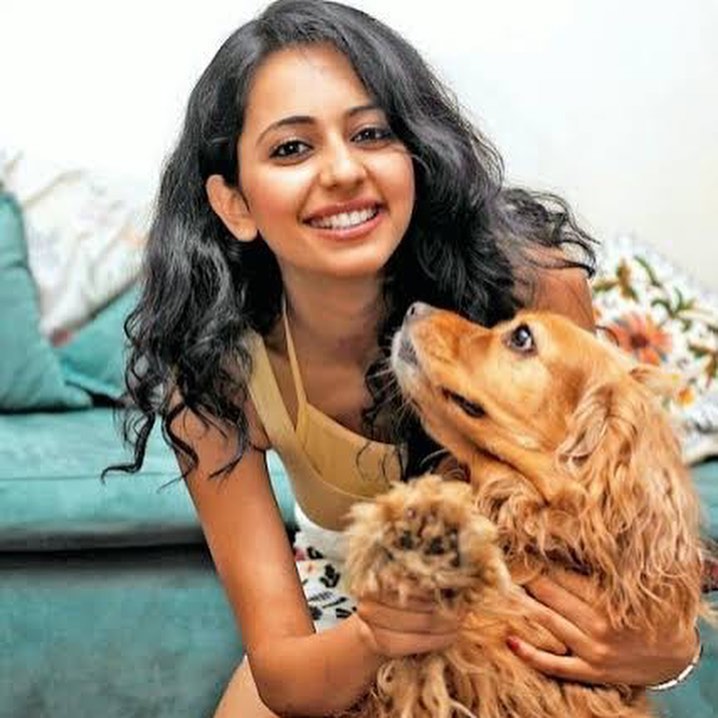 Rakul