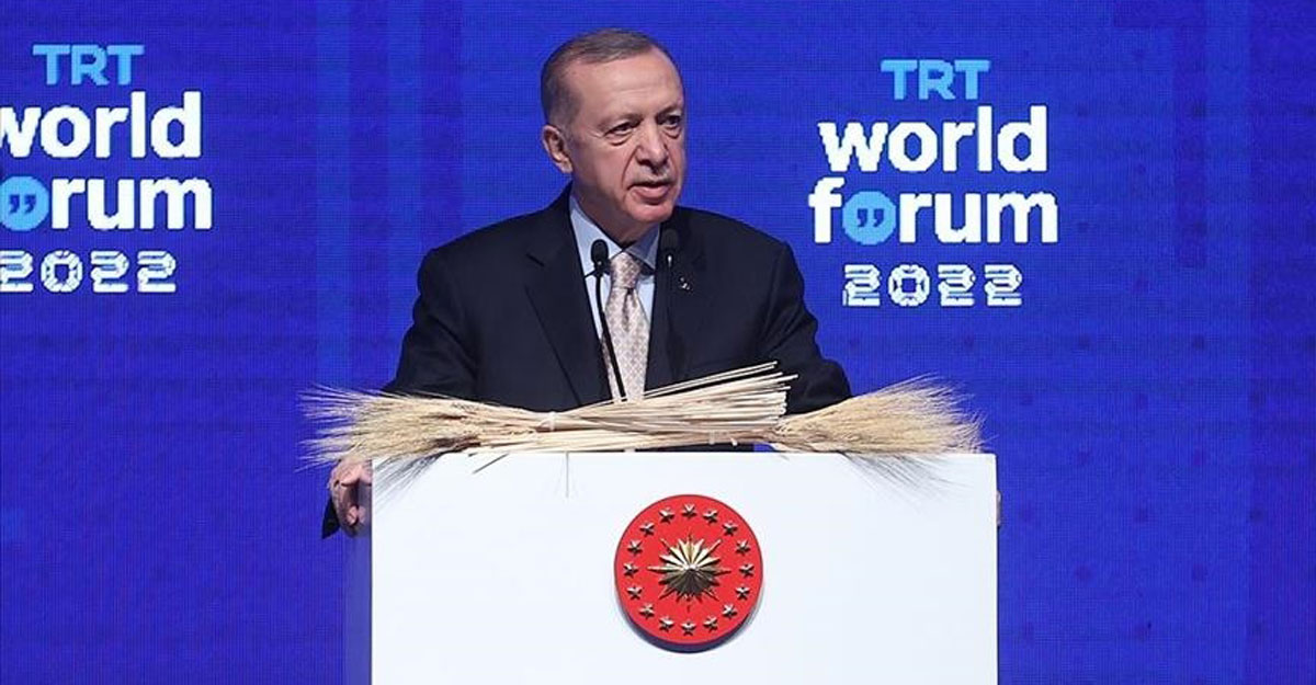 যুদ্ধ বন্ধে রাশিয়া ও ইউক্রেনের সঙ্গে কথা বলবেন এরদোয়ান