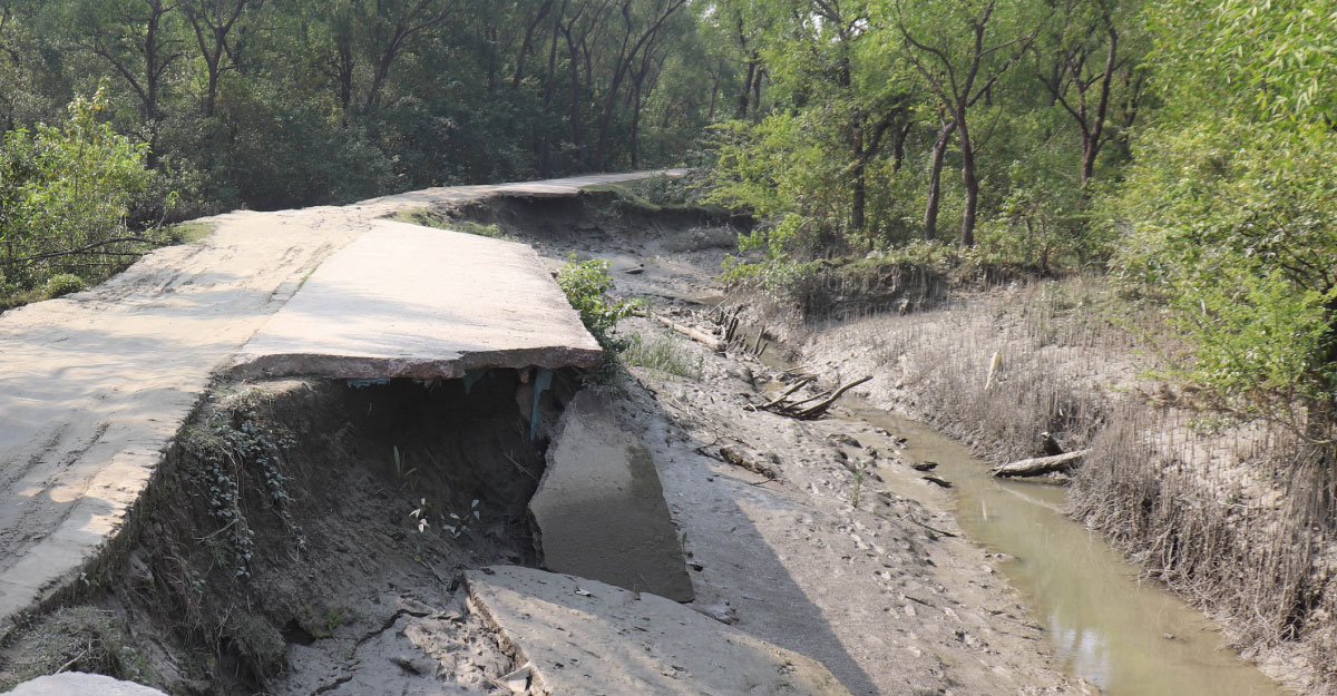 নিঝুম দ্বীপের সড়ক পড়ছে ভেঙে, পর্যটকদের চলাচলে ঝুঁকি