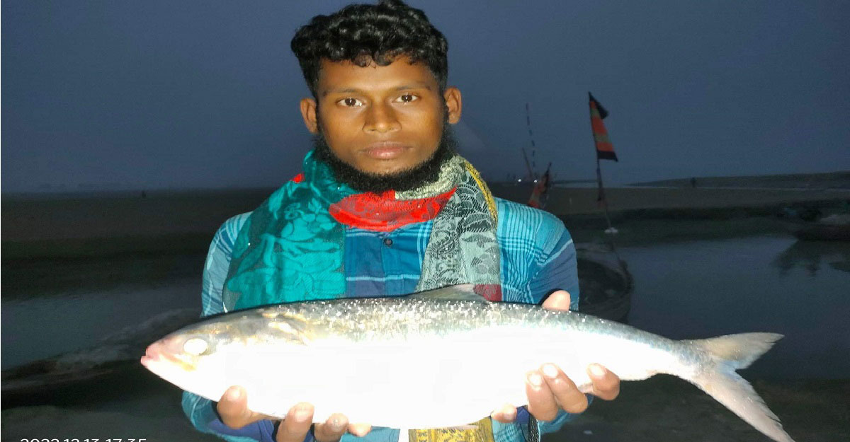 এক ইলিশের দাম সাড়ে ৬ হাজার টাকা!