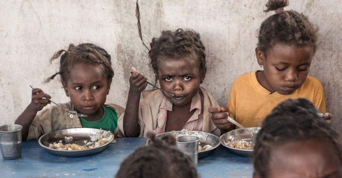 আফ্রিকার মানুষ খাবে কী?