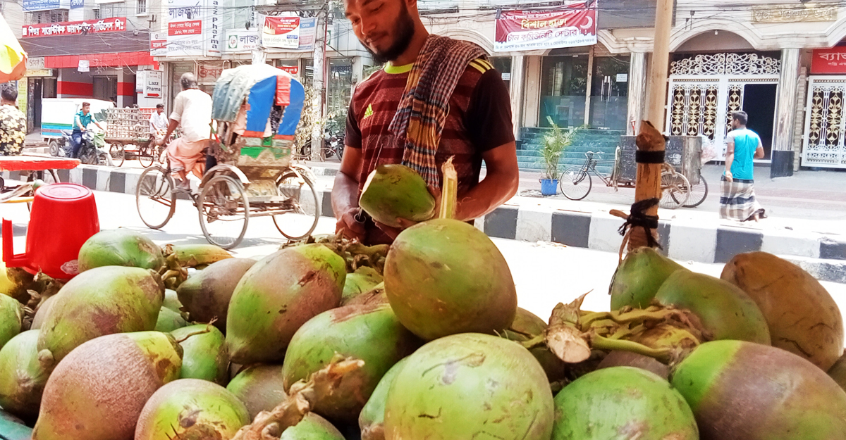 রমজানে ডাবের দাম বাড়লেও কমেছে বিক্রি