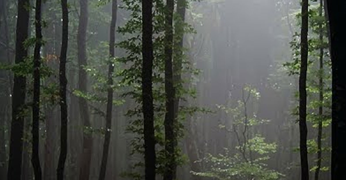 মুত্তাকিদের যেসব পুরস্কার দুনিয়ায় দেওয়া হয়