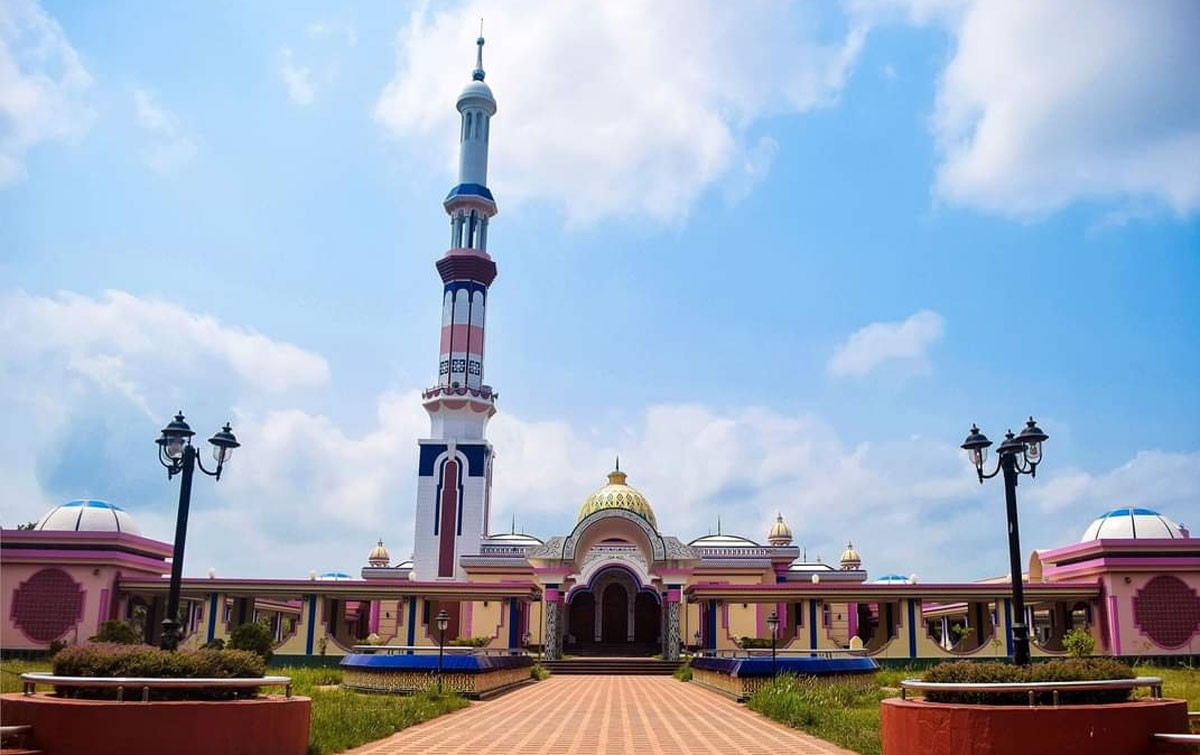 Gayrioddiy mushuklar