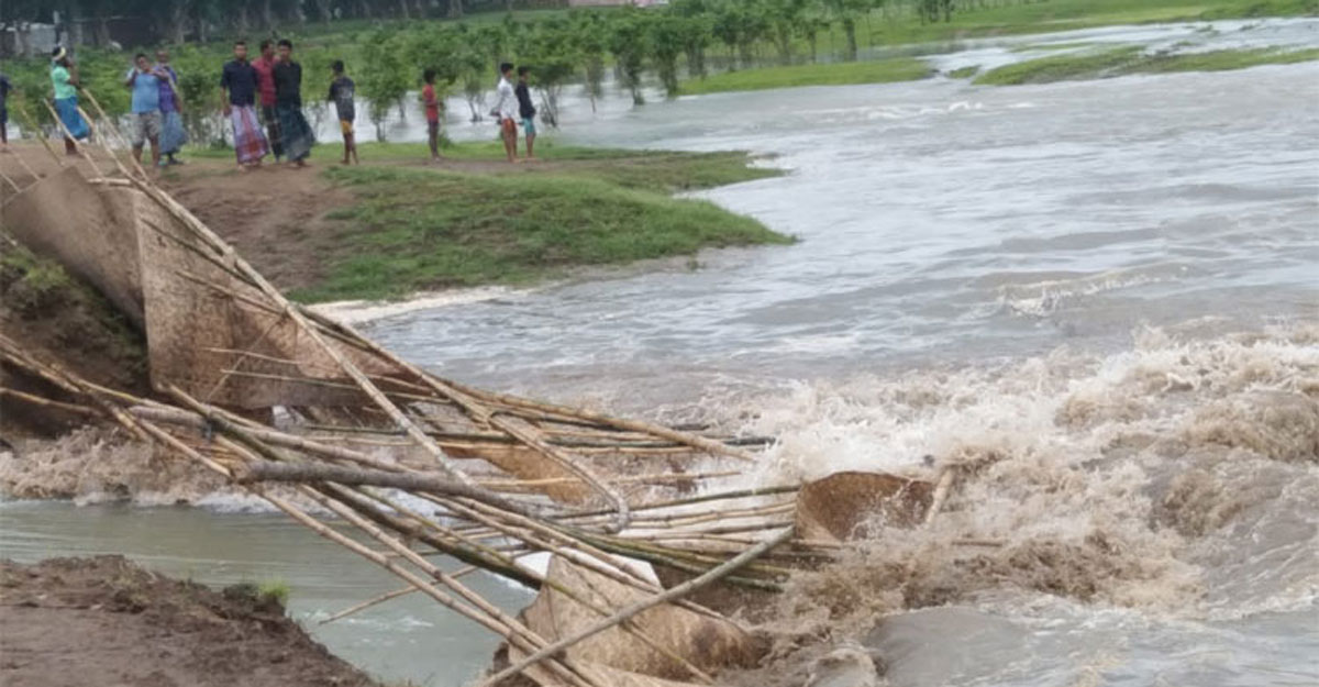 পাহাড়ি ঢলে ডুবছে হাওরের বিস্তীর্ণ এলাকার ফসল