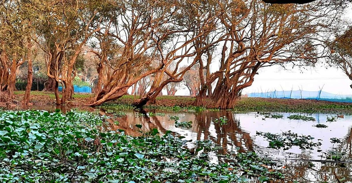 জলের গ্রাম অন্তেহরী