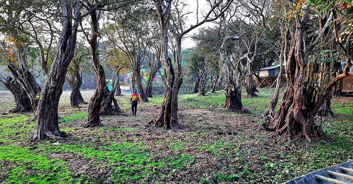 Moulvibazar Joler grm