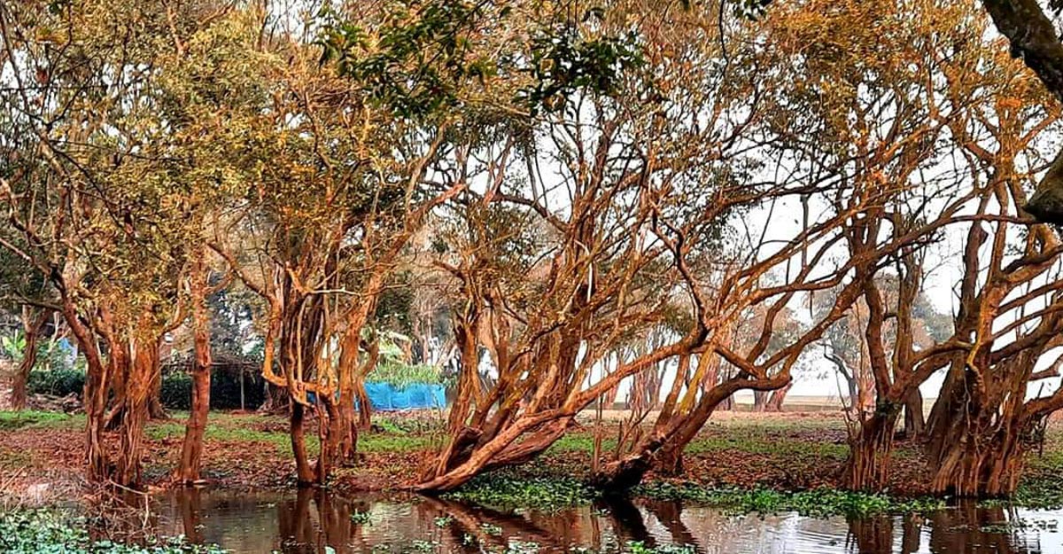 Moulvibazar Joler grm