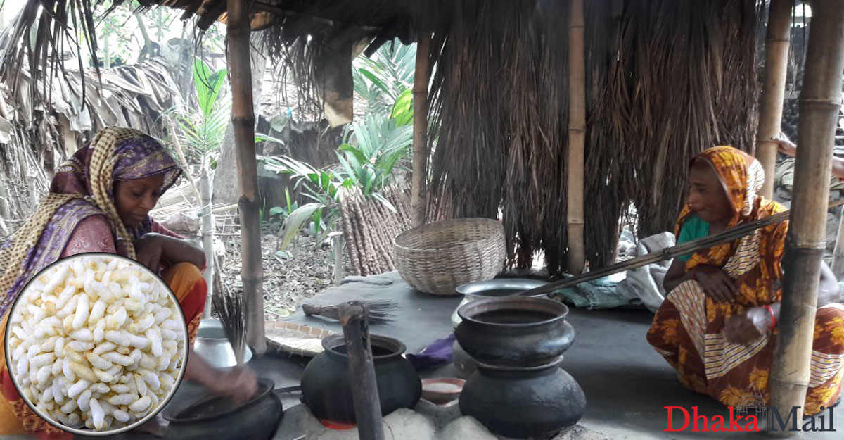 মুড়ি গ্রামের অদম্য নারী রূপার জীবনের গল্প