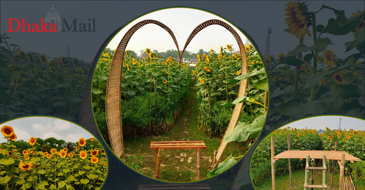 পাবনায় গ্রাজুয়েট তরুণের বাগান দেখতে জনতার ভিড়