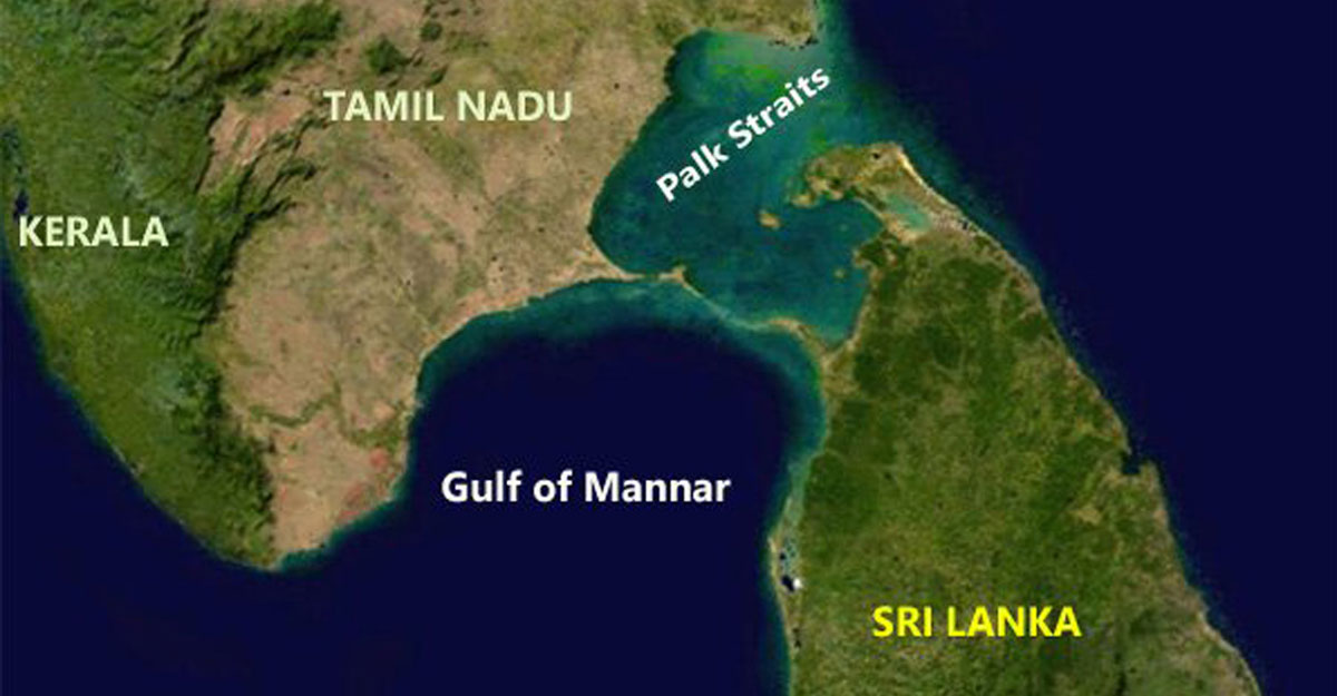 পক প্রণালীর রাজনৈতিক-অর্থনৈতিক আদ্যপান্ত