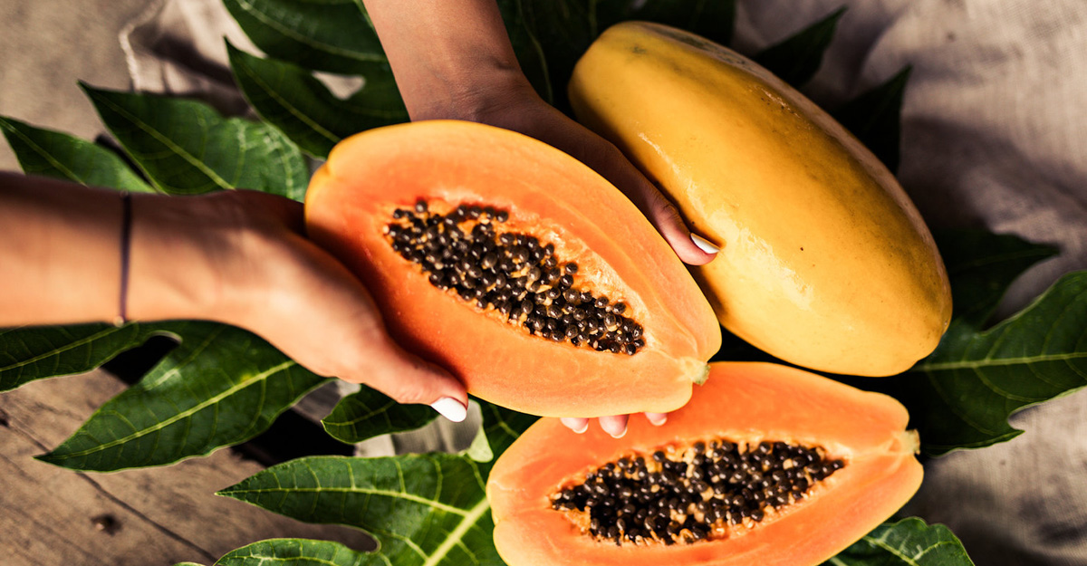 papaya