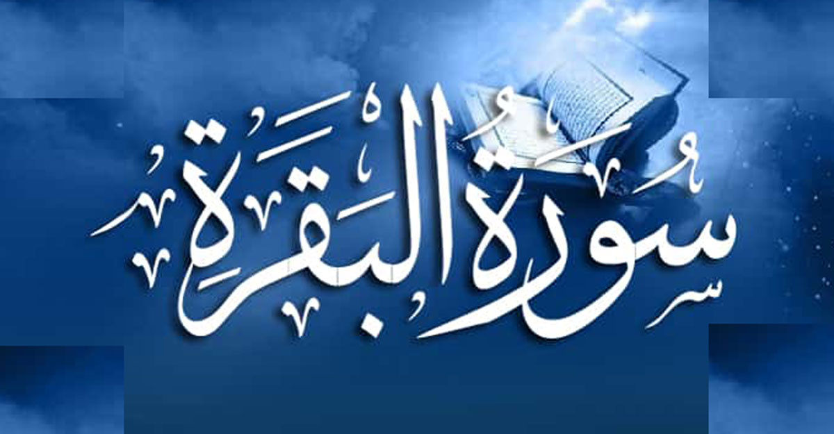 রহস্যময় যে ঘটনায় গাভীর নামে সুরা