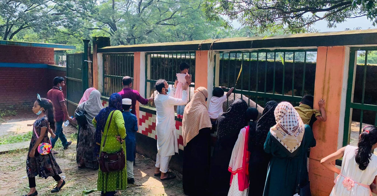 গরমে অতিষ্ঠ চিড়িয়াখানার দর্শনার্থীরা