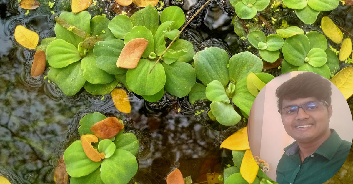 হয়তো আমার মৃত্যু হবে আফসোস নিয়ে!