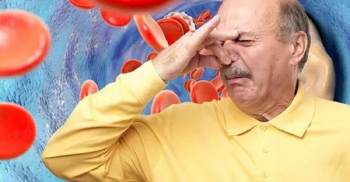 রক্তের গন্ধ কেন অপছন্দ করে মানুষ?