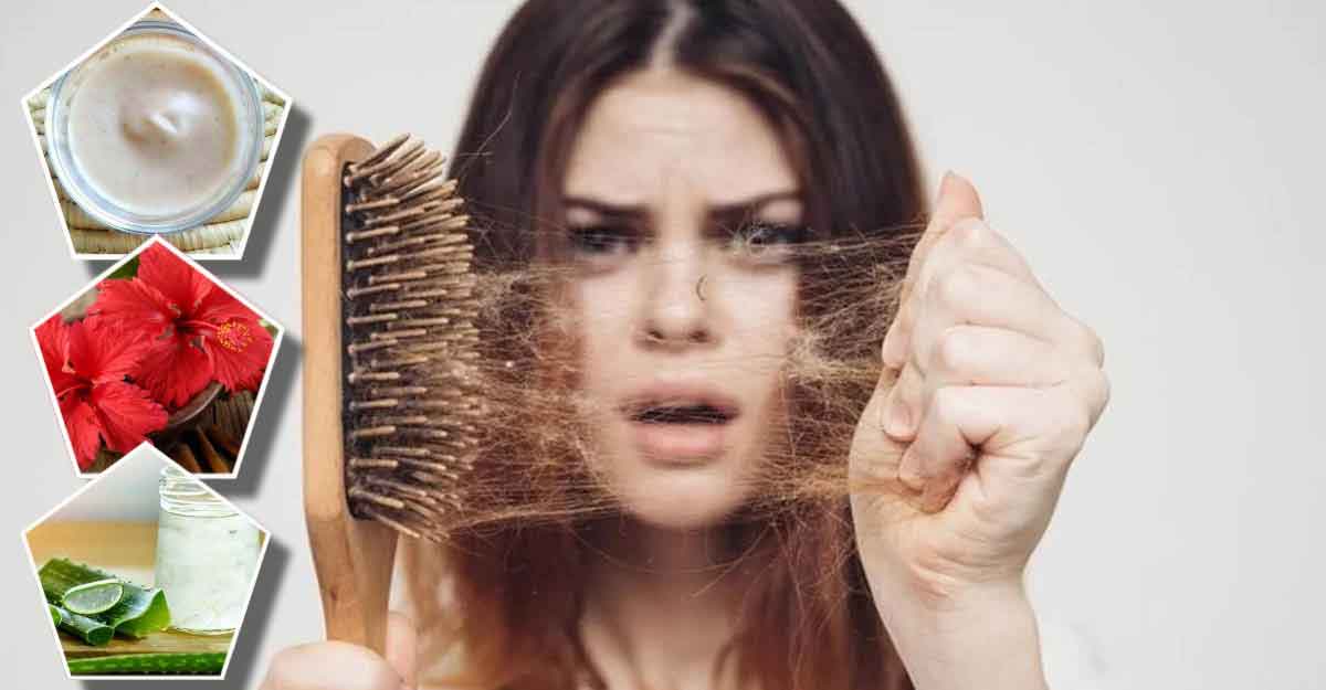 চুল পড়া বন্ধে ৪ হেয়ার প্যাকের জাদু