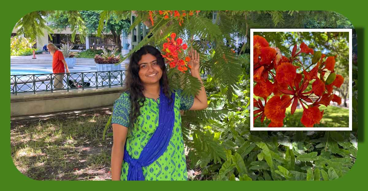 মার্কিন মুল্লুকে কৃষ্ণচূড়ার রঙ