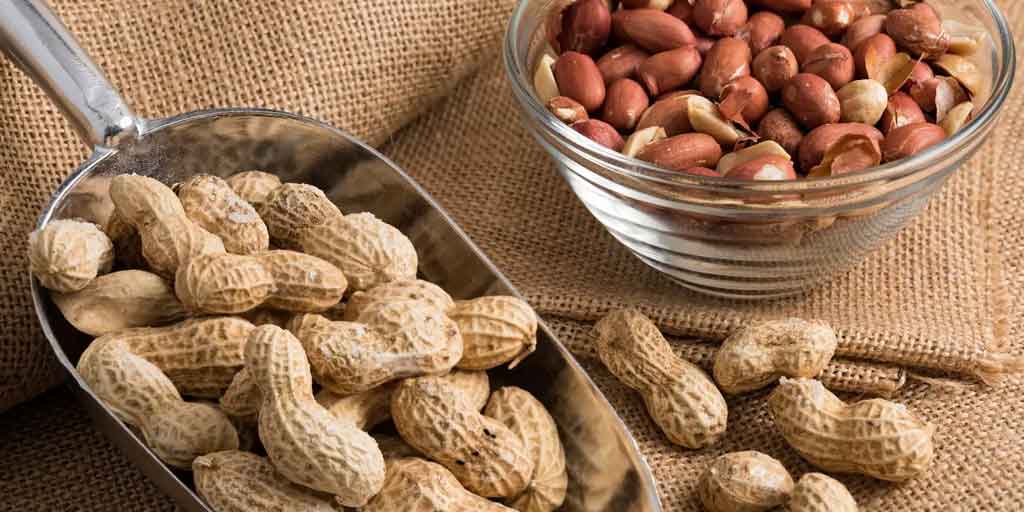 চিনাবাদাম আসলে বাদামই নয়! 