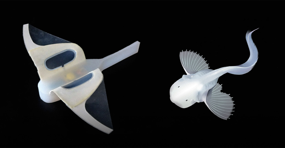 সমুদ্রের আবর্জনা সাফ করবে রোবট মাছ