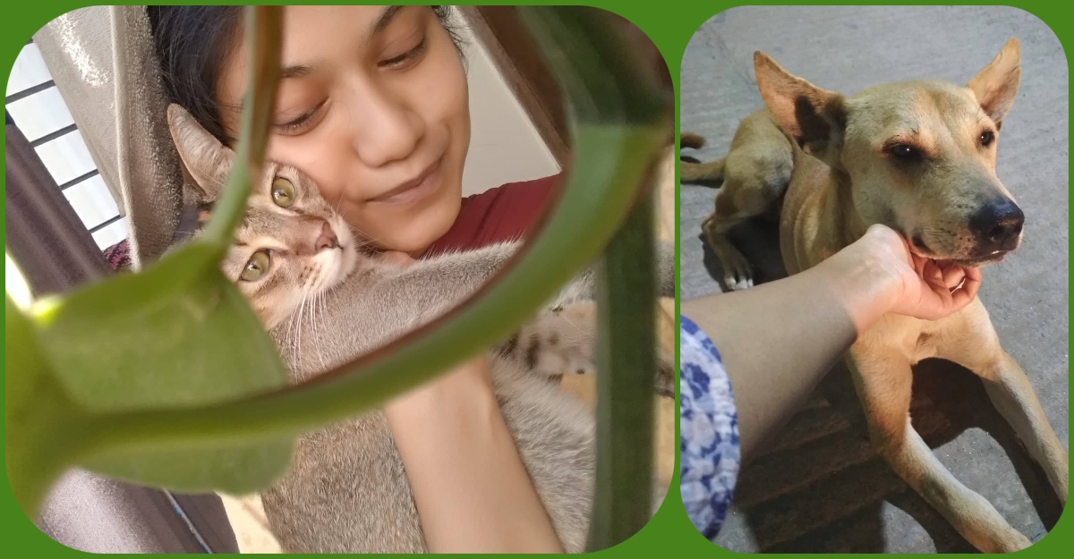 কেবল মানুষ নয়, কুকুর-বিড়ালও প্রাণের বন্ধু হয়