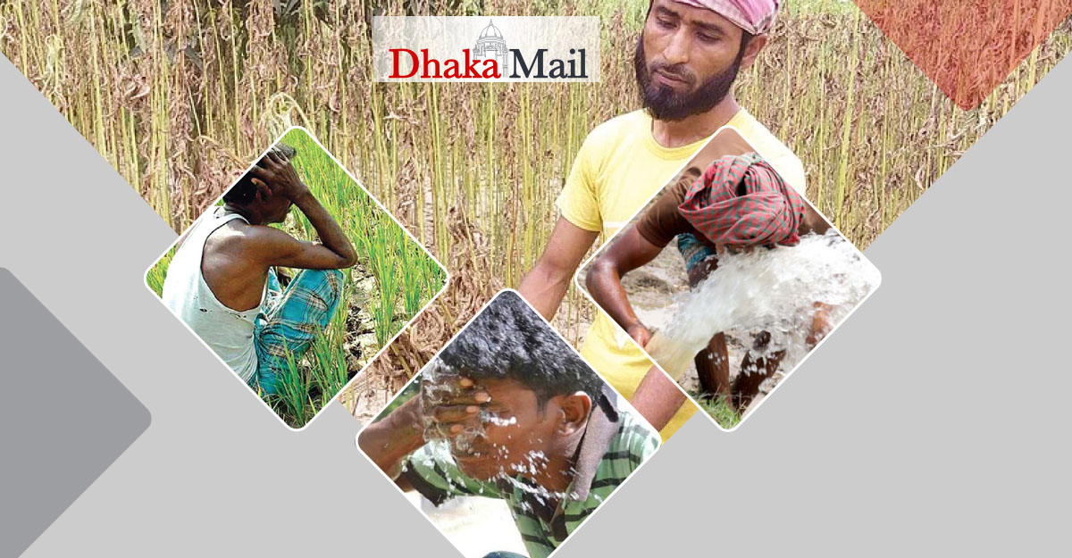 পুড়ছে মানুষ, জ্বলছে ফসল, এ কেমন বর্ষাকাল!