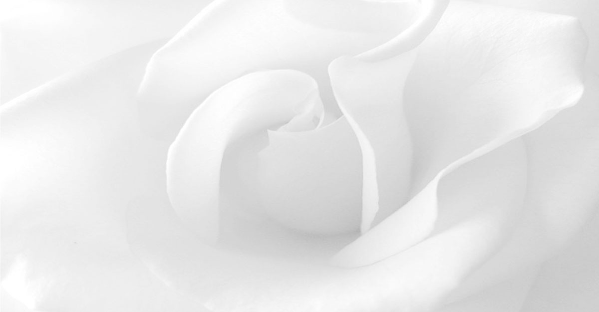 নবীজির প্রিয় রঙ