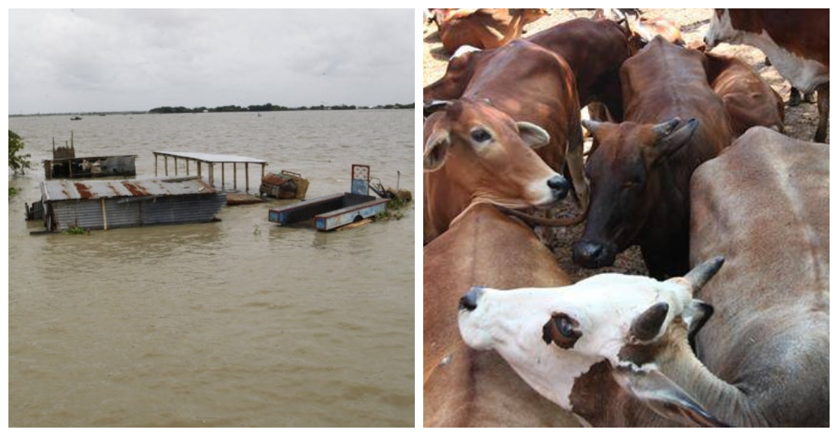 কোরবানির টাকা বন্যাদুর্গতদের দান করা যাবে কি?