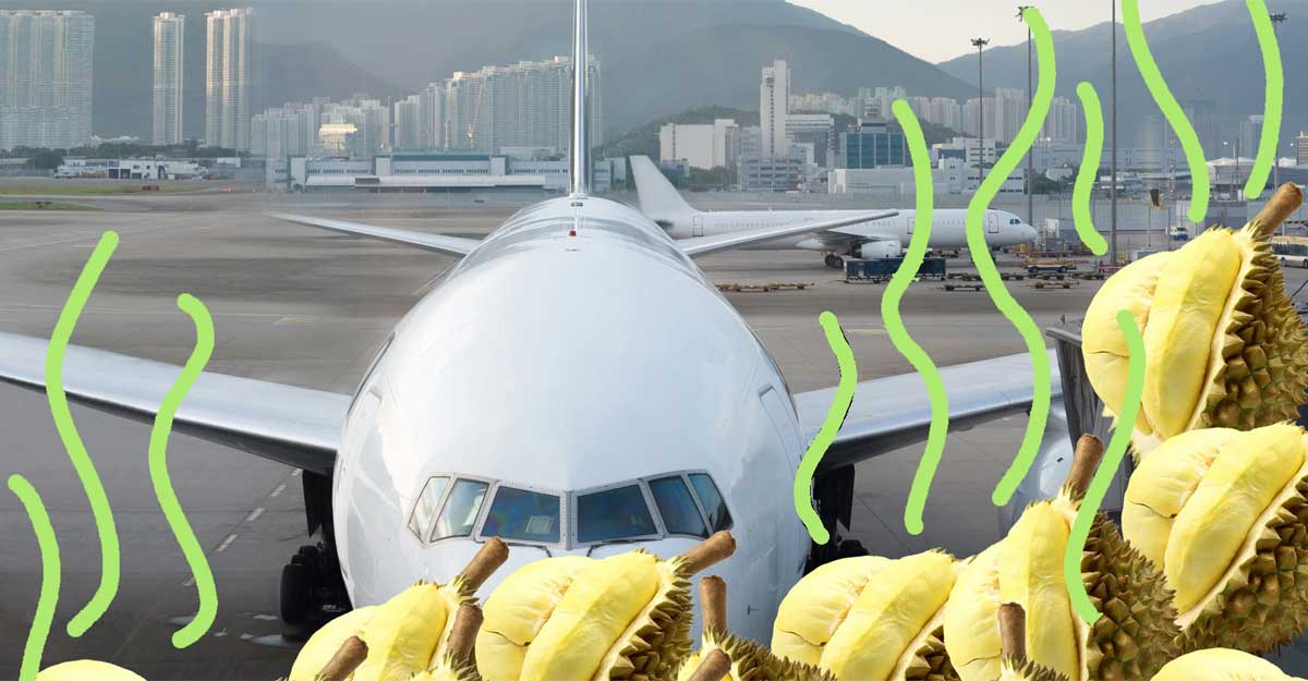 ছোট্ট যে ফলটি বিমানে বহন নিষিদ্ধ