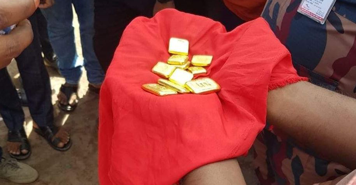 বেনাপোলে বাস থেকে ১০ পিস সোনারবার জব্দ