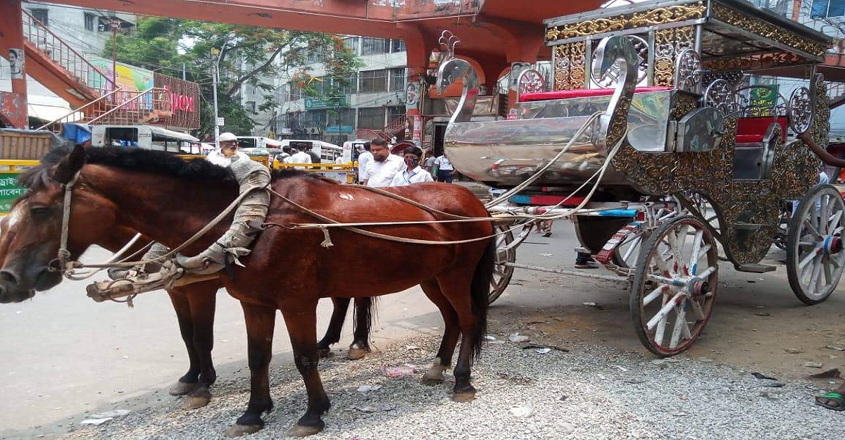 হুমকির মুখে ব্রিটিশ ঐতিহ্যবাহী টমটম গাড়ির অস্তিত্ব