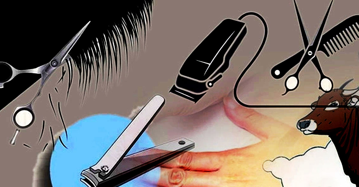 কোরবানি করতে ইচ্ছুকরা নখ-চুল কাটার সময় পাচ্ছেন কতক্ষণ?