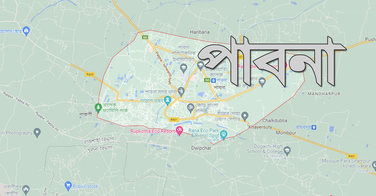 পাবনায় সাপে ছোবলে অন্তঃসত্ত্বা নারীর মৃত্যু