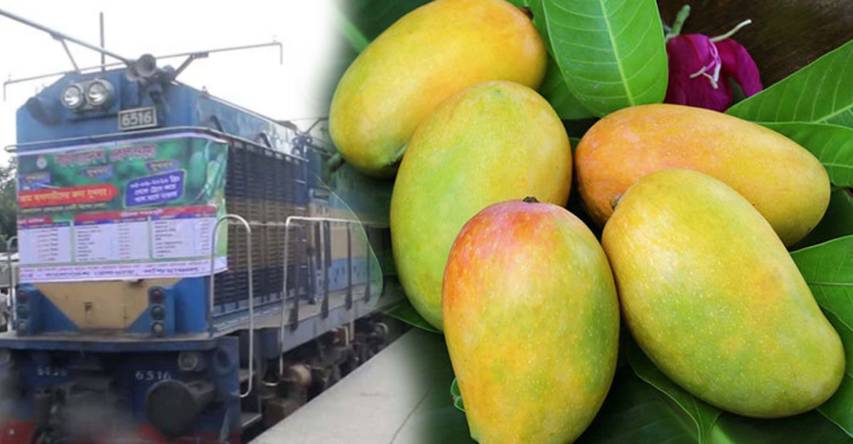 ১১ দিনের মাথায় বন্ধ হয়ে গেল ‘ম্যাংগো স্পেশাল ট্রেন’